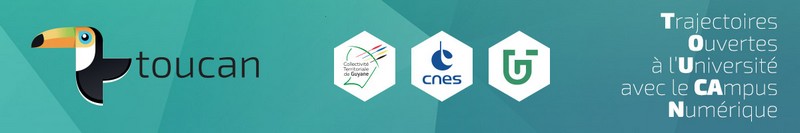 Bannière TOUCAN